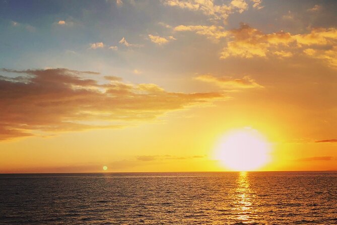 2 hour Tiki Pub Sensational Dolphin Sunset Cruise (Adults only) - The Excursions Marina Start: How the evening gets going