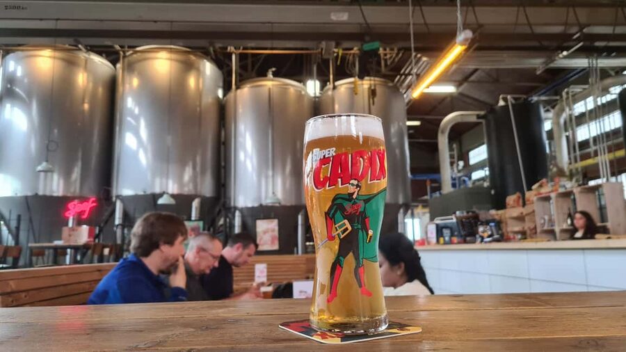 Antwerp: Pub Crawl in the Historical City - What you’ll learn while you stroll historic streets