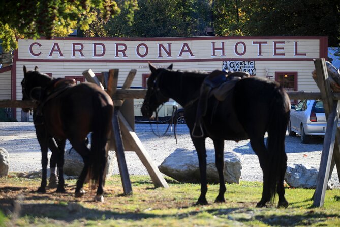 Cardrona High Country Pub Trail Horse Riding Trek (Intermediate+) - Why This Trek Gets 5-Star Reviews
