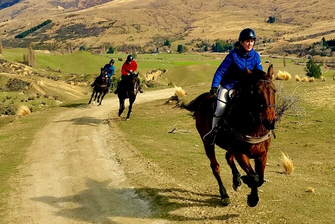 Cardrona High Country Pub Trail Horse Riding Trek (Intermediate+) - Price and Value: Is NZD 365 Worth It?