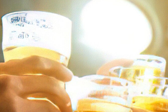 Drinks on Foot: Dublin Traditional Pub Tour - Who should book this Dublin pub tour