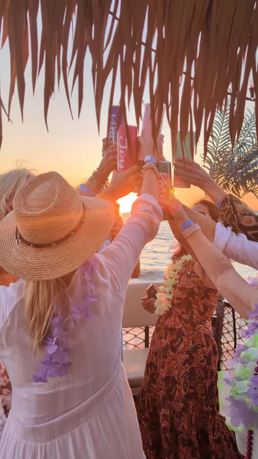 Fort Myers Beach: Adults only BYOB Tiki Pub Daytime Cruise - Who This Adults-Only Daytime Cruise Fits Best