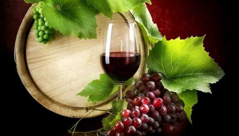 Madrid Wine Tasting, Flamenco Class and Pub Crawl - Flamenco Master Class: Learn Steps Before You Judge Yourself