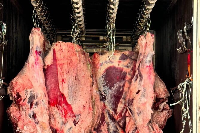 Majang Meat Market Experience: Private Tour with Han-woo Beef BBQ - Choosing Han-woo 1++ (and Pork) Like a Local Meat Buyer