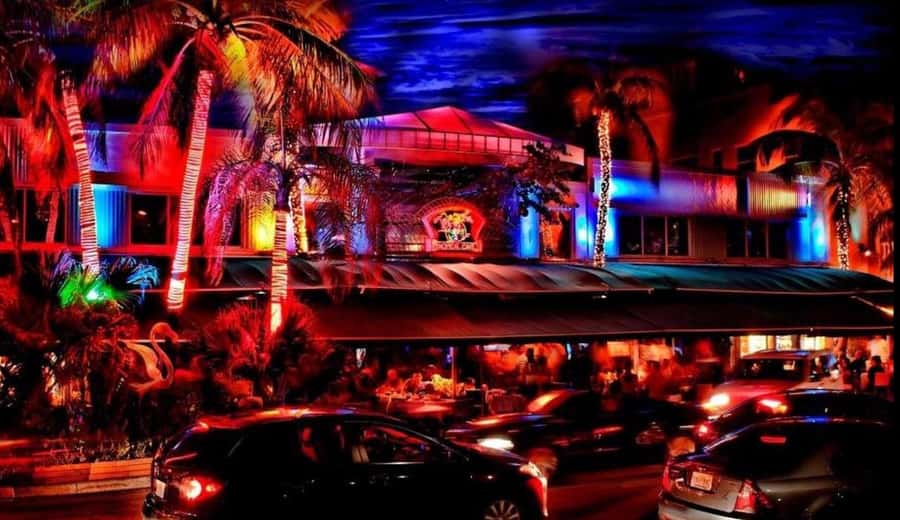 Miami Pub Crawl + Clubbing Experience - Final Club on Ocean Drive: VIP Entry and Why the Last Stop Counts