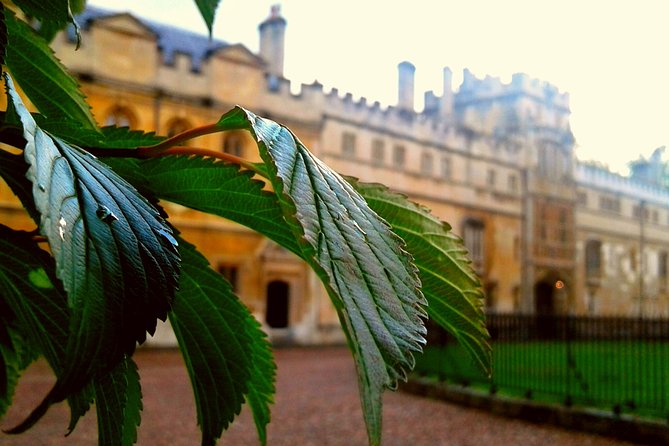 Oxford PRIVATE Pub and City Evening Walking Tour - Your opening stop: The Turf Tavern and the medieval gambling story