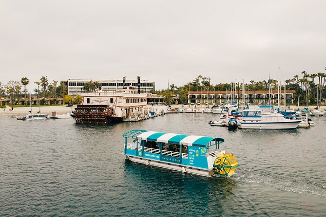 Paddle Pub San Diego Party Cruise: Drinks & Dancing for up to 26 - Key Points You’ll Care About