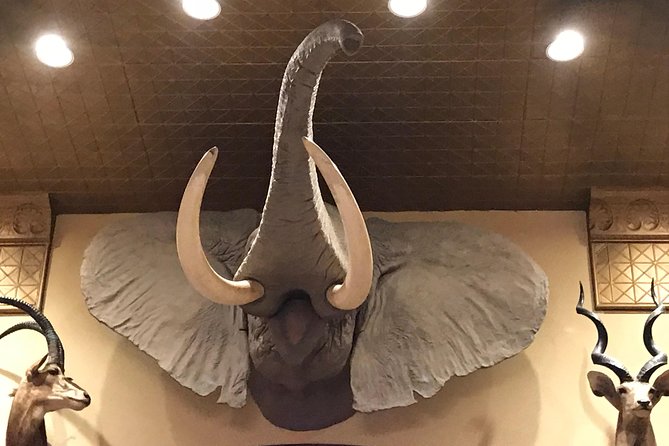 Private History Pub Tour through the Menger & Buckhorn Saloon - Price and value: what $110 buys you (and what it doesn’t)